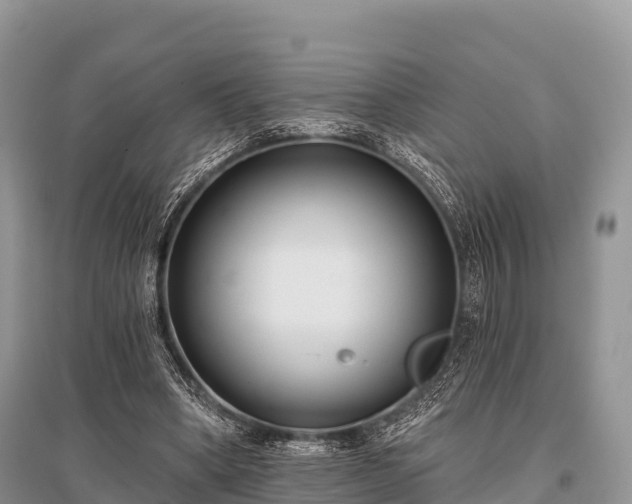 X0000096150394200801251109