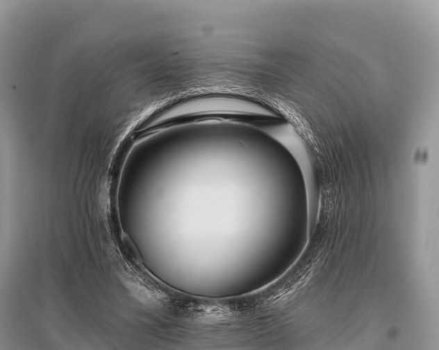 X0000096150395200801251109