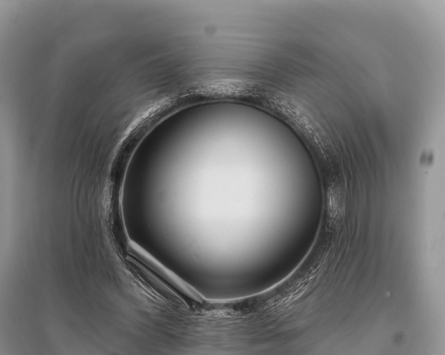 X0000096150396200801251109