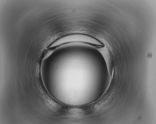 X0000096150397200801251109