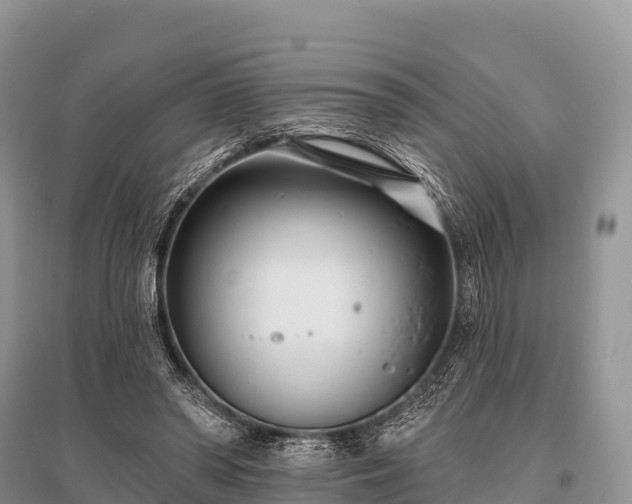 X0000096150398200801251109