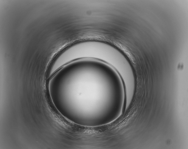 X0000096150399200801251109