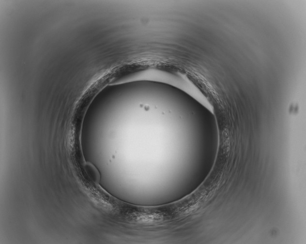 X0000096150400200801251109