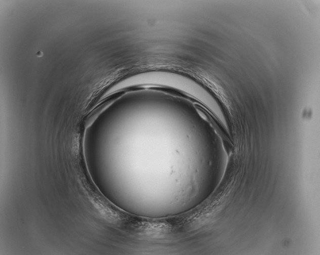 X0000096150401200801251109