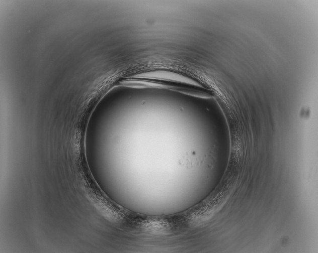 X0000096150402200801251109