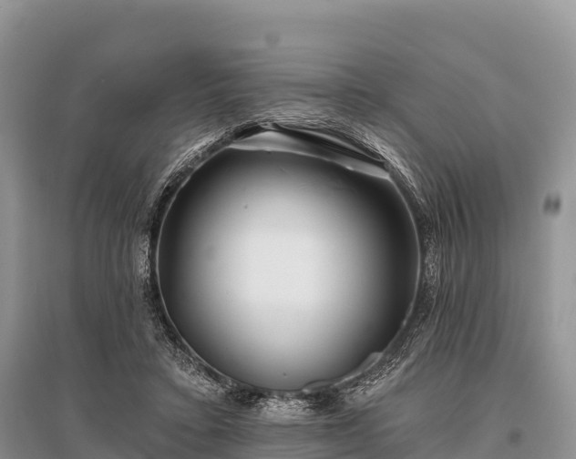 X0000096150403200801251109