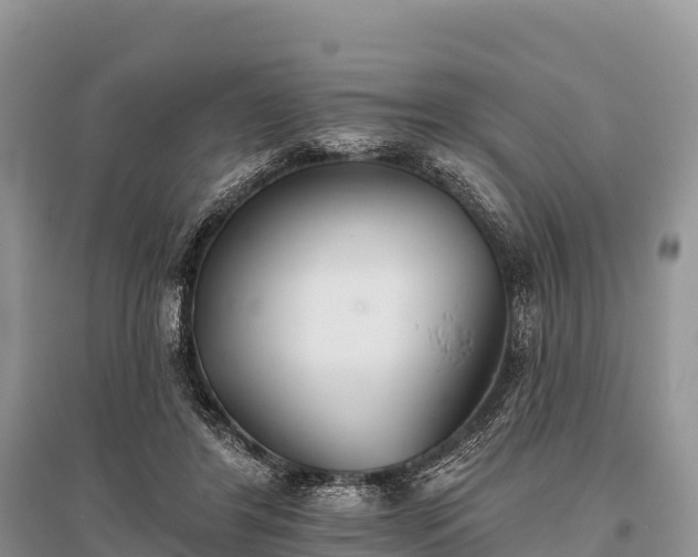 X0000096150404200801251109