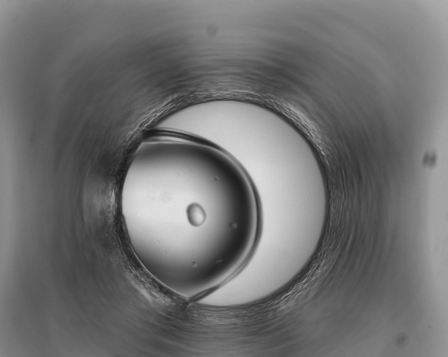 X0000096150405200801251109