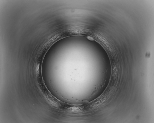X0000096150406200801251109