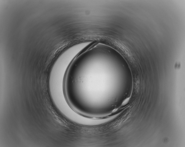 X0000096150407200801251109
