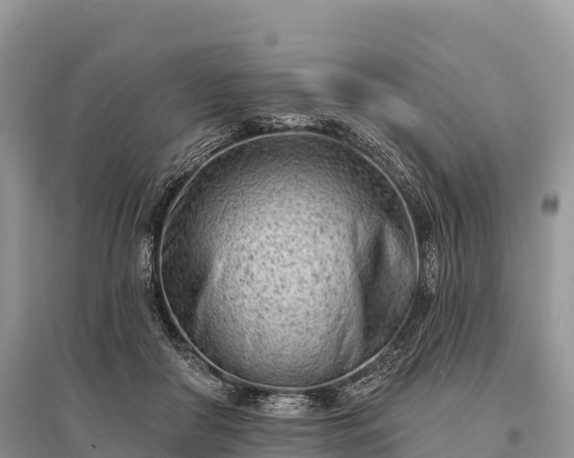X0000096150410200801251109