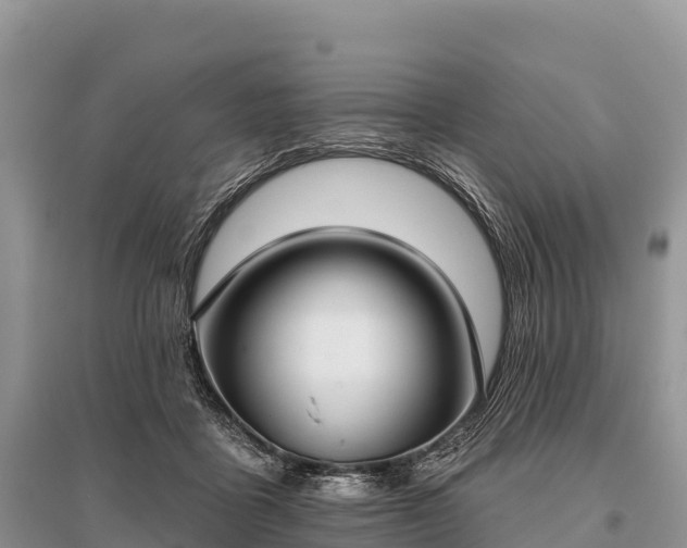 X0000096150411200801251109