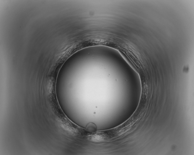 X0000096150412200801251109
