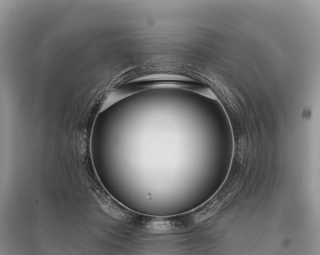 X0000096150413200801251109