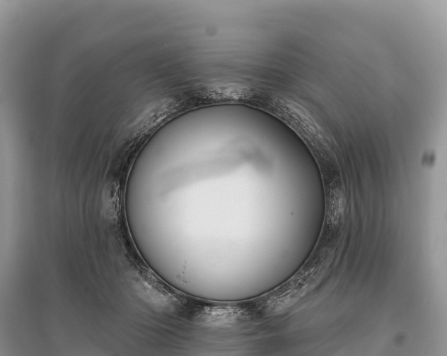X0000096150414200801251109