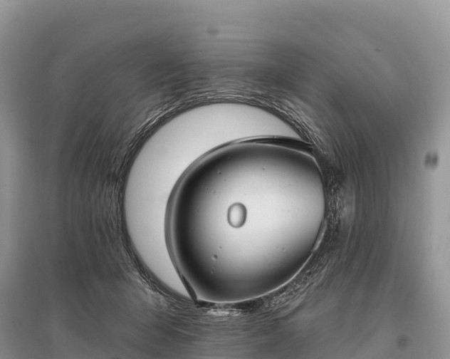 X0000096150415200801251109