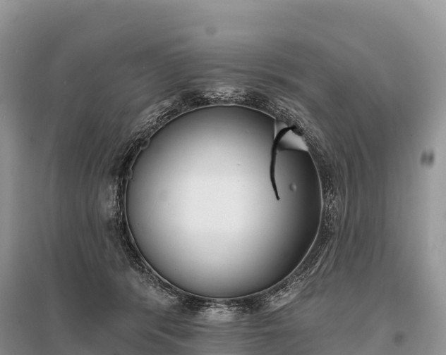 X0000096150416200801251109