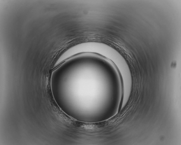 X0000096150417200801251109