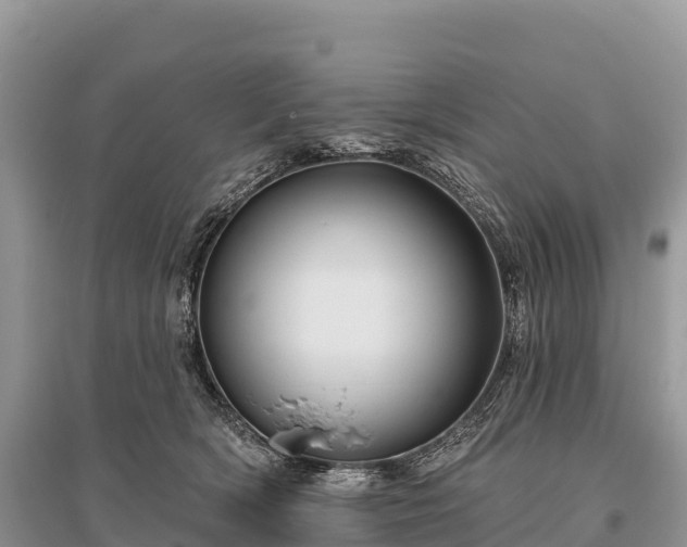 X0000096150418200801251109