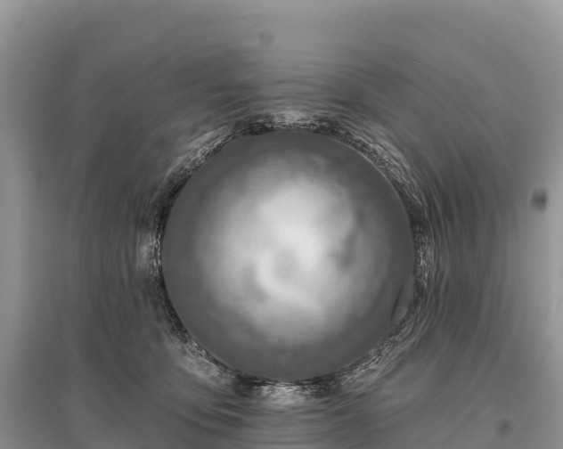 X0000096150419200801251109