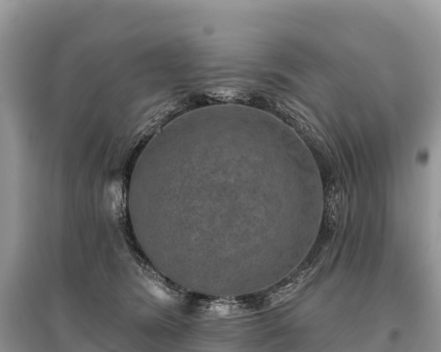 X0000096150420200801251109