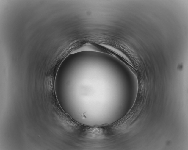 X0000096150421200801251109