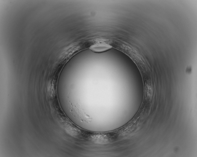 X0000096150422200801251108