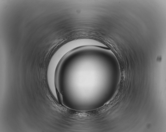 X0000096150423200801251108