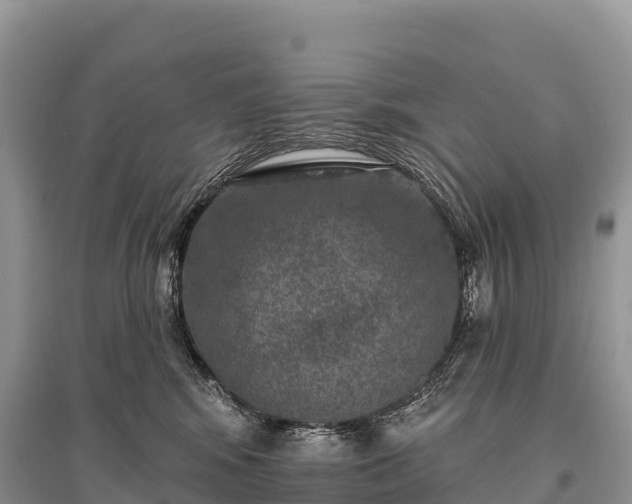 X0000096150424200801251108