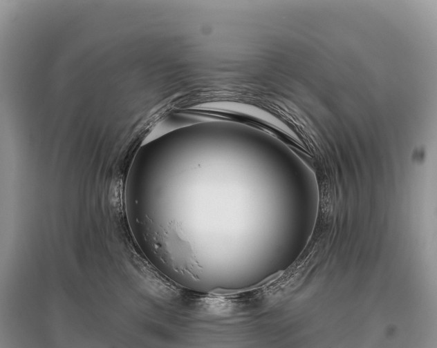 X0000096150425200801251108
