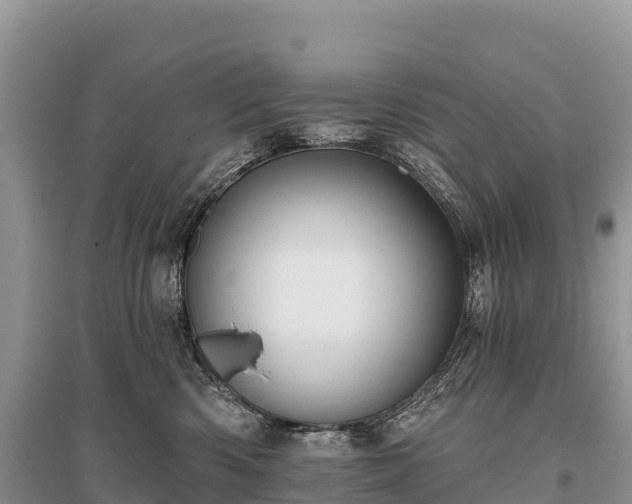 X0000096150426200801251108
