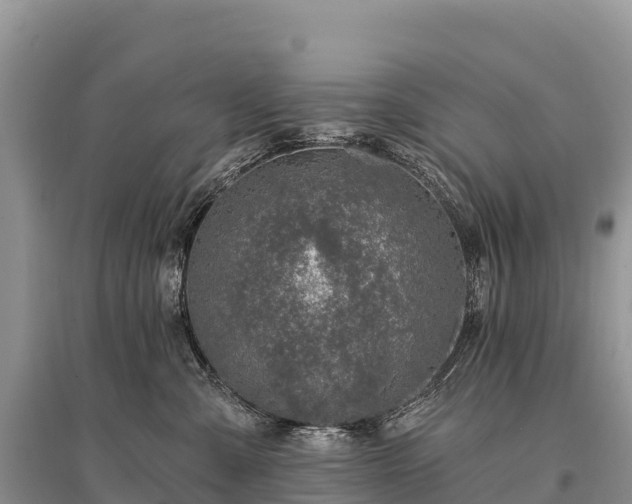 X0000096150427200801251108