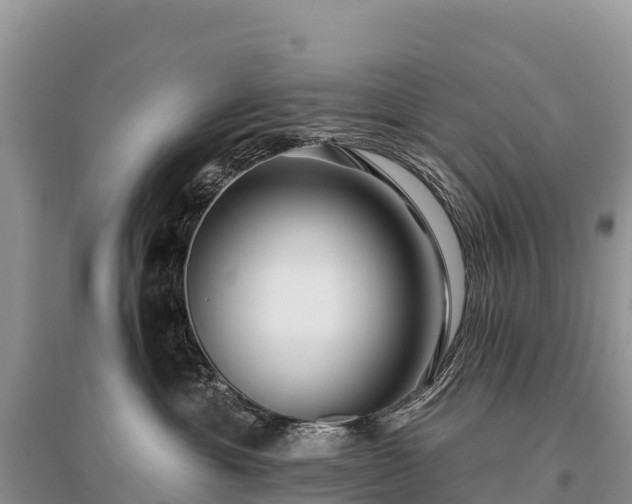X0000096150429200801251108