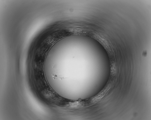 X0000096150430200801251108