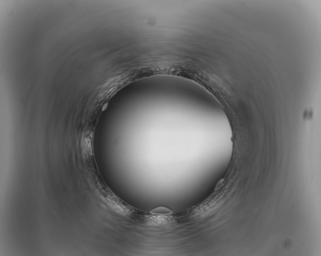 X0000096150432200801251108