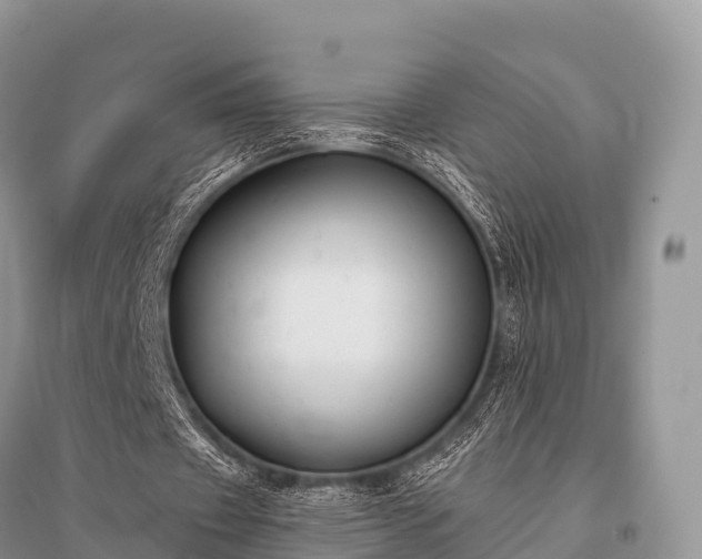 X0000096150433200801251108