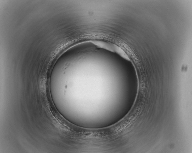 X0000096150434200801251108