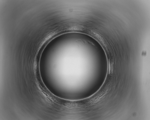 X0000096150435200801251108