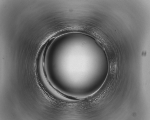 X0000096150436200801251108