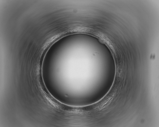 X0000096150437200801251108