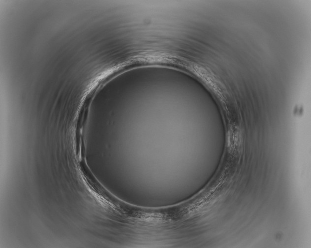 X0000096150438200801251108