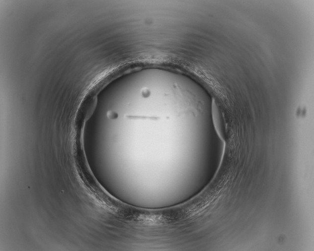 X0000096150440200801251108