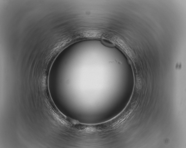 X0000096150441200801251108