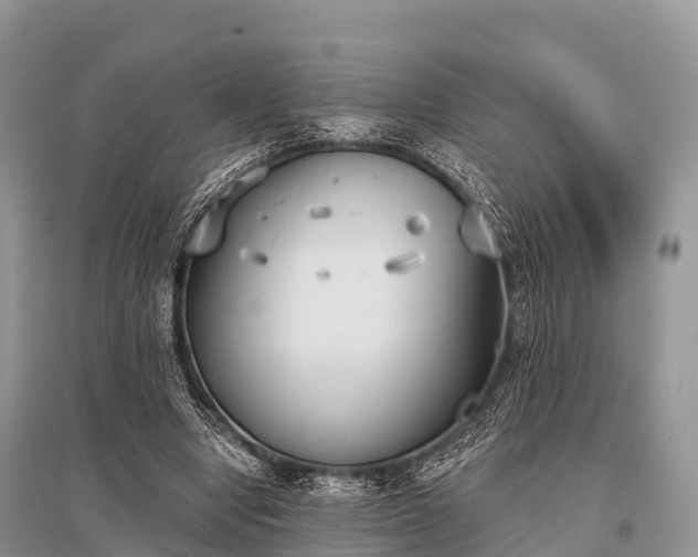 X0000096150442200801251108