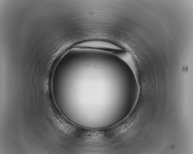 X0000096150443200801251108