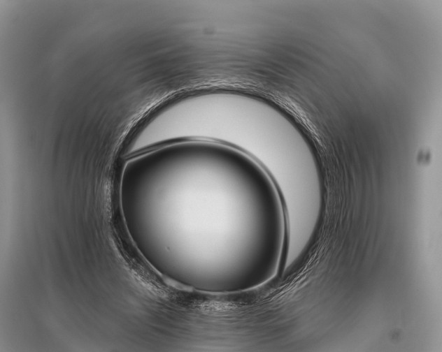 X0000096150444200801251108
