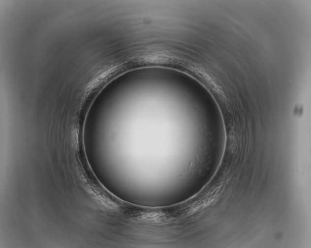 X0000096150446200801251108