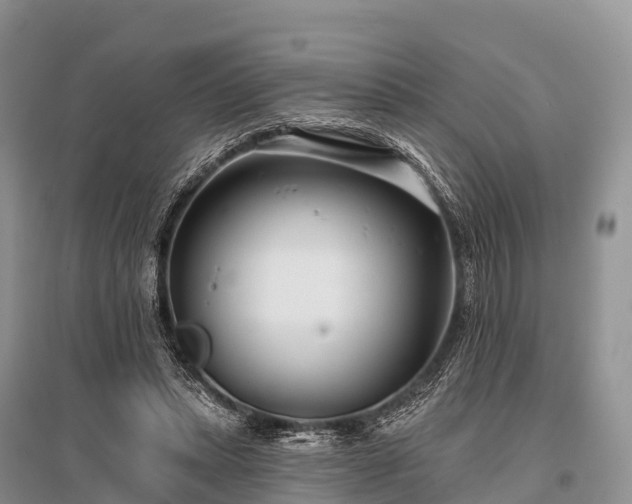 X0000096150447200801251108