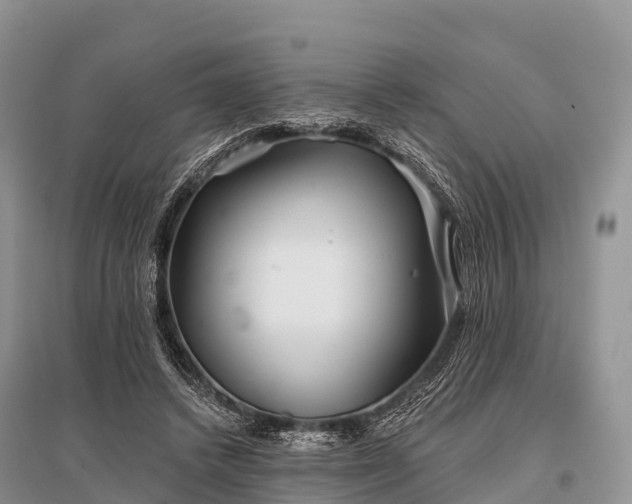 X0000096150448200801251108