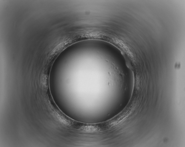 X0000096150449200801251108